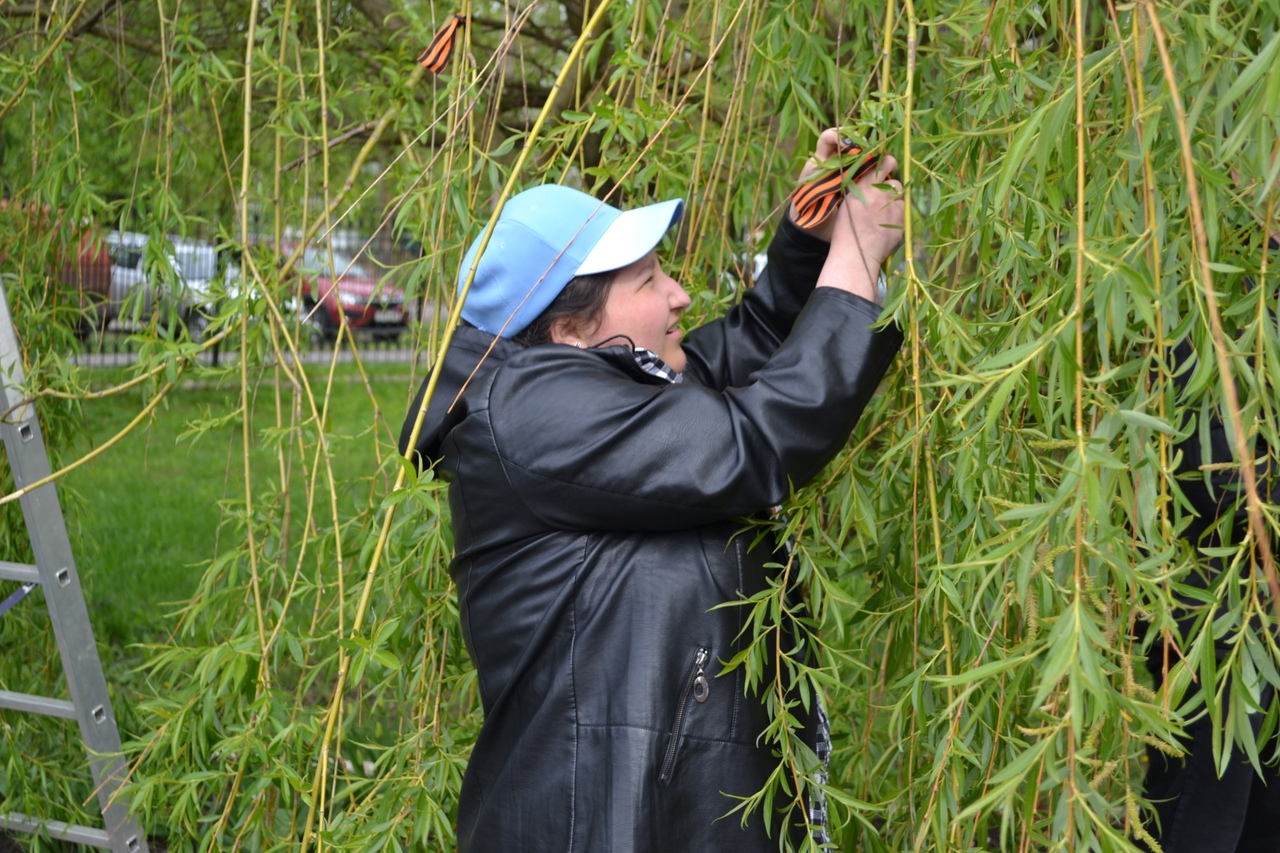 Карачевский филиал  ОГУ имени И.С.Тургенева присоединился к патриотической акции «Дерево Памяти»