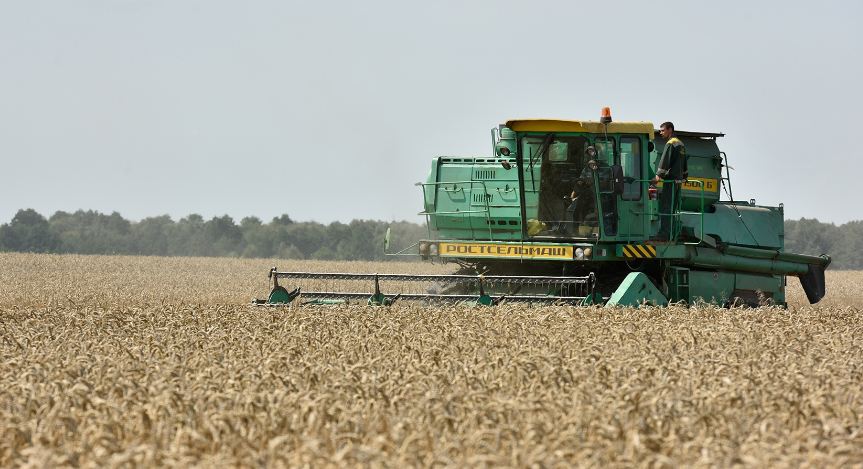 Брянские сельхозтоваропроизводители получают господдержку