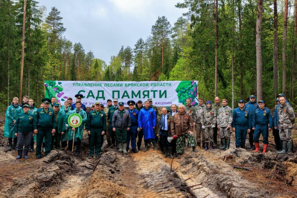На Брянщине в рамках Международной акции «Сад памяти» высадили более 2 тысяч сеянцев сосны