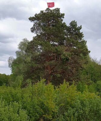 В брянской Суземке   9 мая установили Знамя Победы