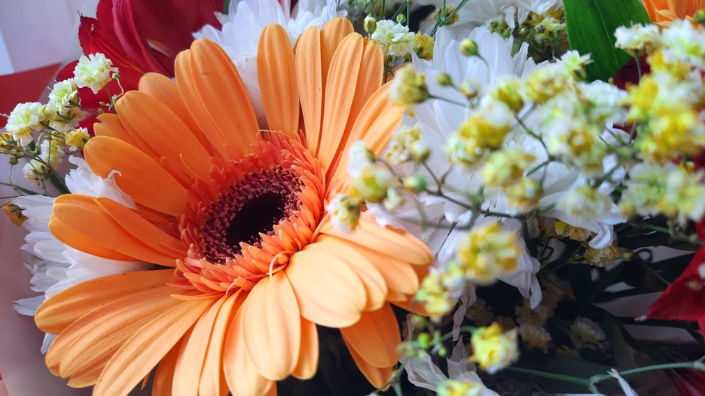 Брянский губернатор Александр Богомаз поздравил слесаря и машиниста с высокими государственными наградами