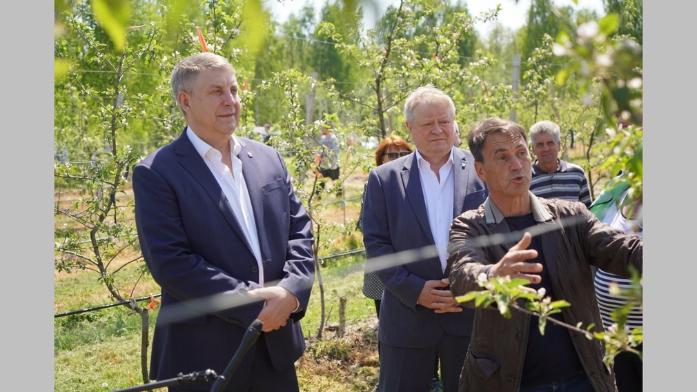 В Клетнянском районе в прошлом году собрали 600 тонн яблок