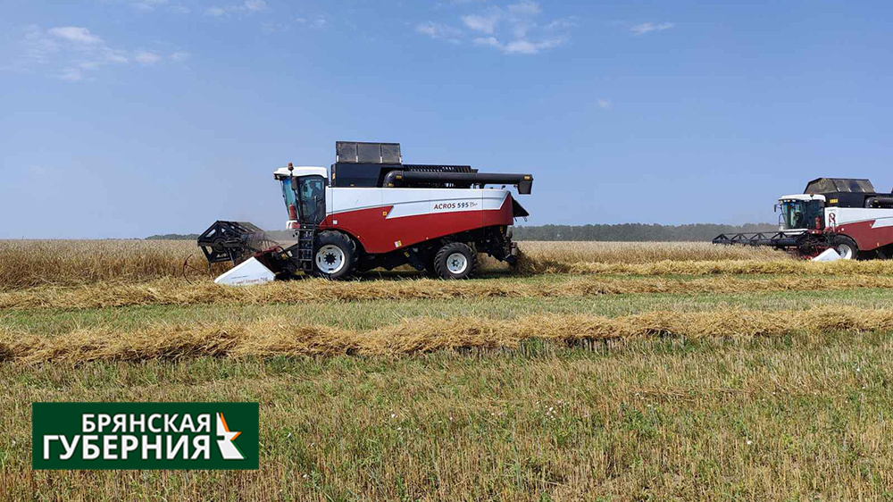 В сельхозпредприятиях Брянщины начался период заготовки кормов