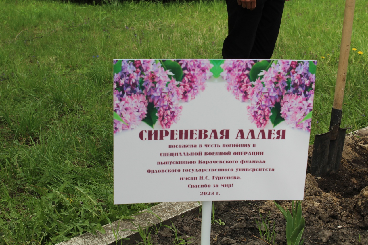 В Карачевском филиале ОГУ им.И.С.Тургенева посадили сиреневую аллею