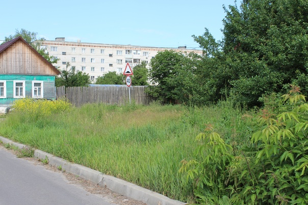 Карачевцев уведомили о необходимости скашивании травы у дома