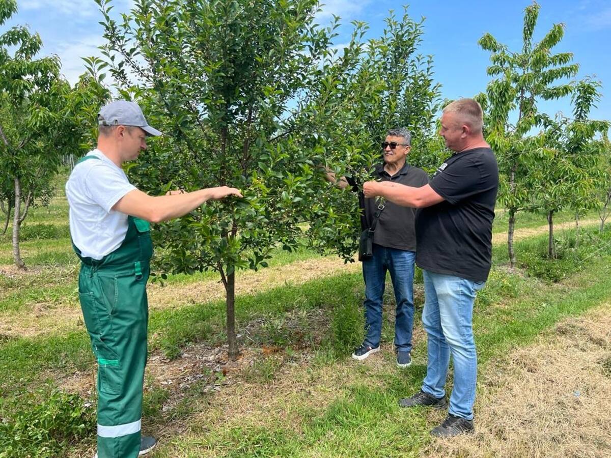 Сербские специалисты оценили ход реализации плодового инвестпроекта на Брянщине