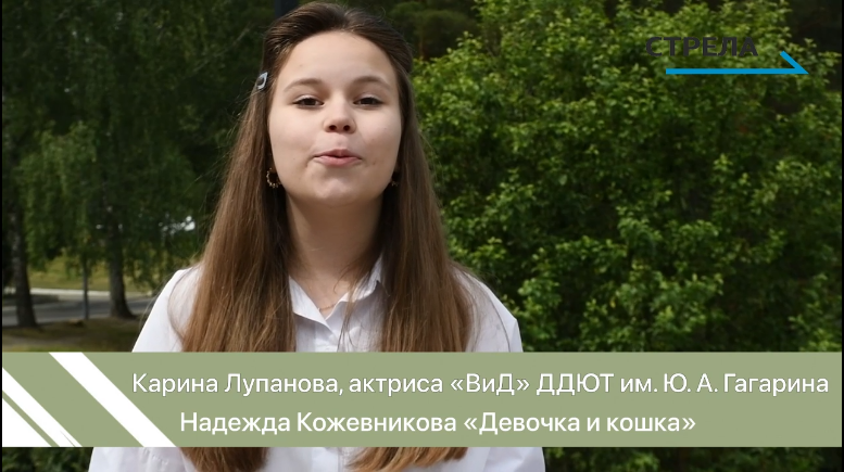 В Брянске начался проект «Стихи нашего времени»