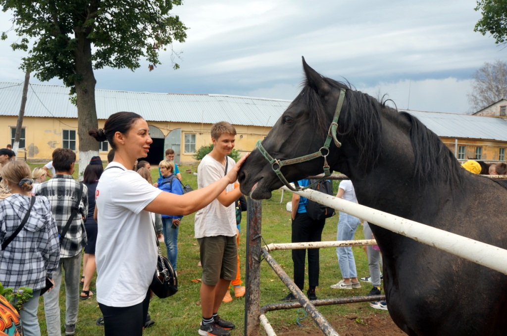 Брянские подростки из трудовых лагерей побывали с экскурсией на конезаводе