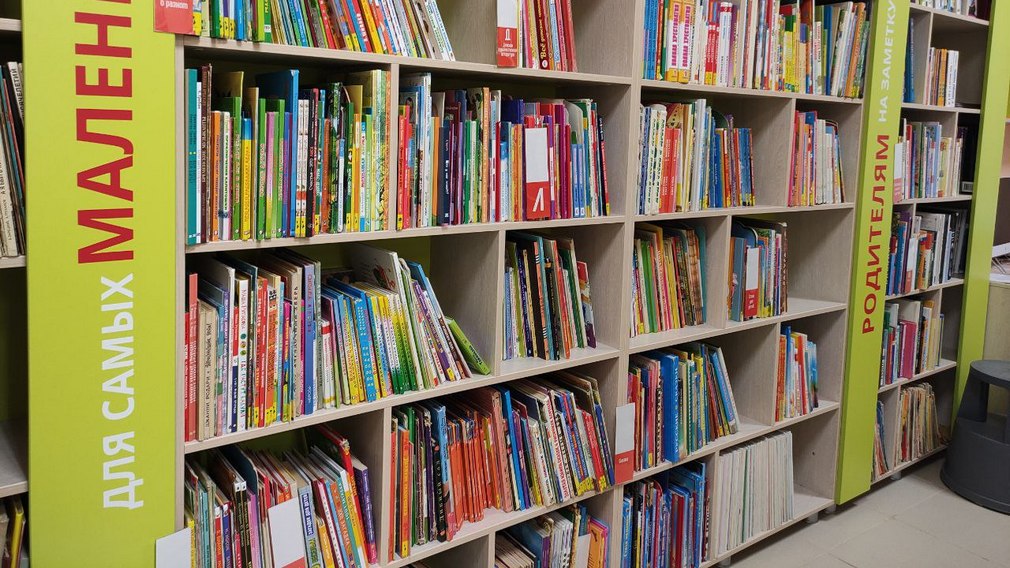 Президентский грант получили детские библиотеки Брянска