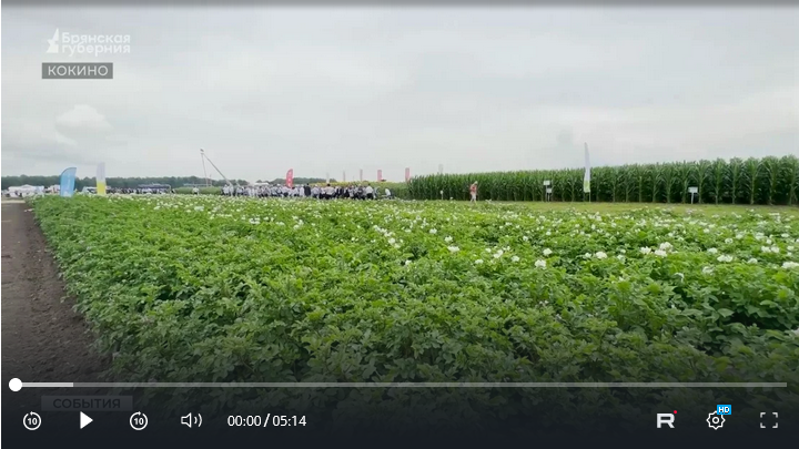 В первый «День Брянского поля» показали достижения сельского хозяйства региона