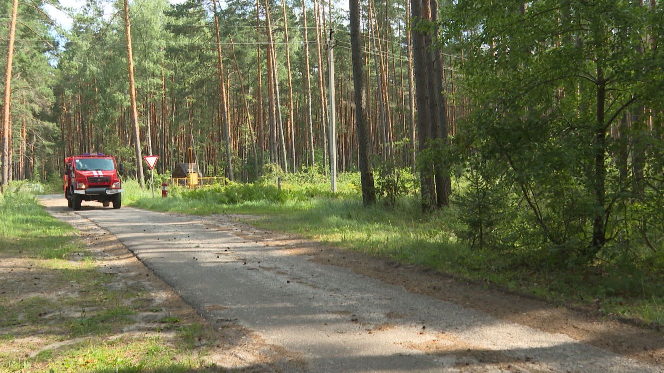 Особый противопожарный режим введен в Брянской области