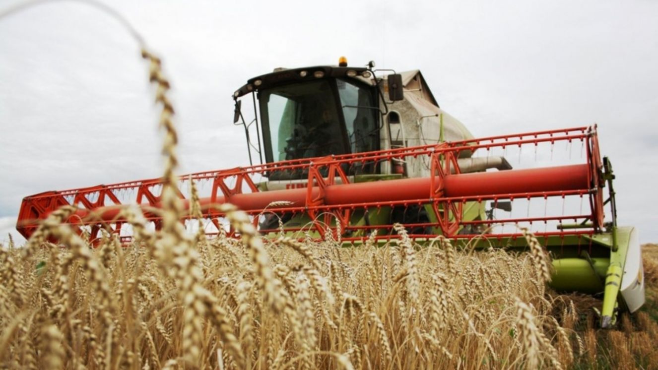 Ведется уборка зерновых и масличных культур в сельскохозяйственных предприятиях Брянской области