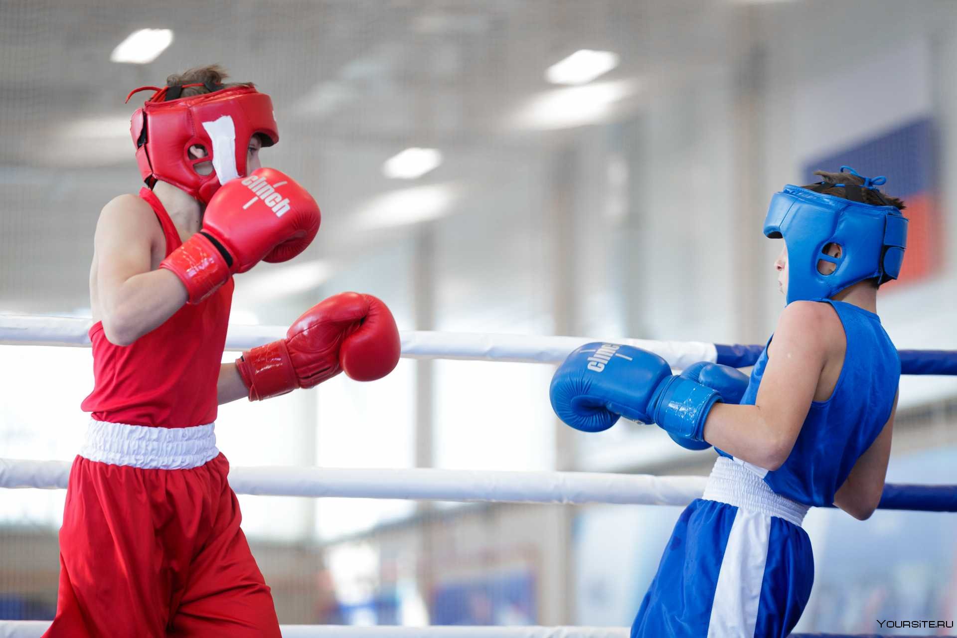 Карачевские боксеры – призеры турнира