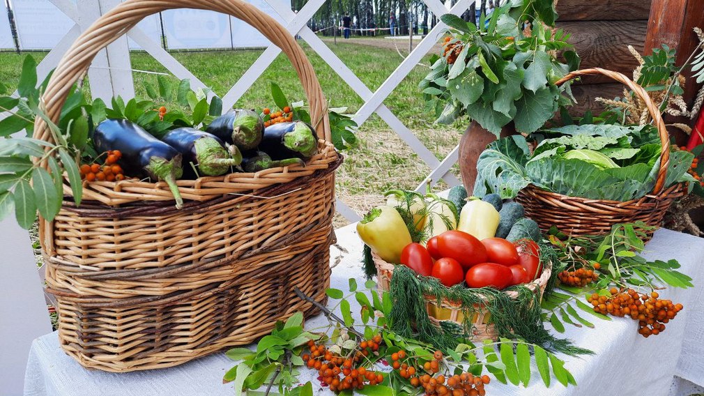 В областной библиотеке им Ф.И. Тютчева состоится выставка «Дары садов и огородов Брянщины»