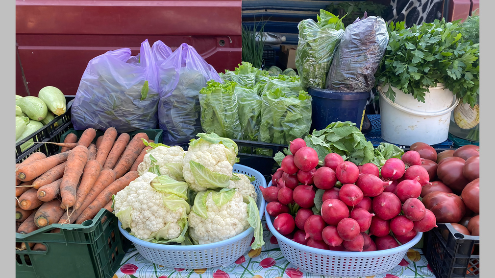 В Брянске ярмарки выходного дня будут работать до 28 октября