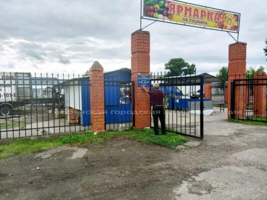 С 12 августа в Брянске стартуют ярмарки выходного дня