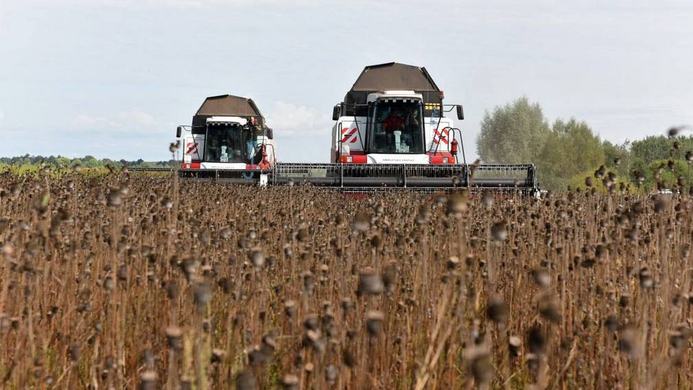 Представители Минпромторга  побывали на маковых полях Брянской области