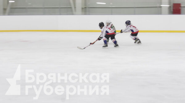 Открытый турнир по хоккею среди детских команд прошел в брянском Стародубе