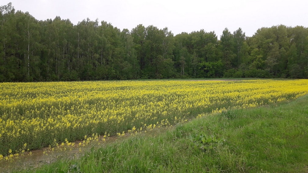 Двум брянским сельхозпредприятиям вручили гранты «Агротуризма»