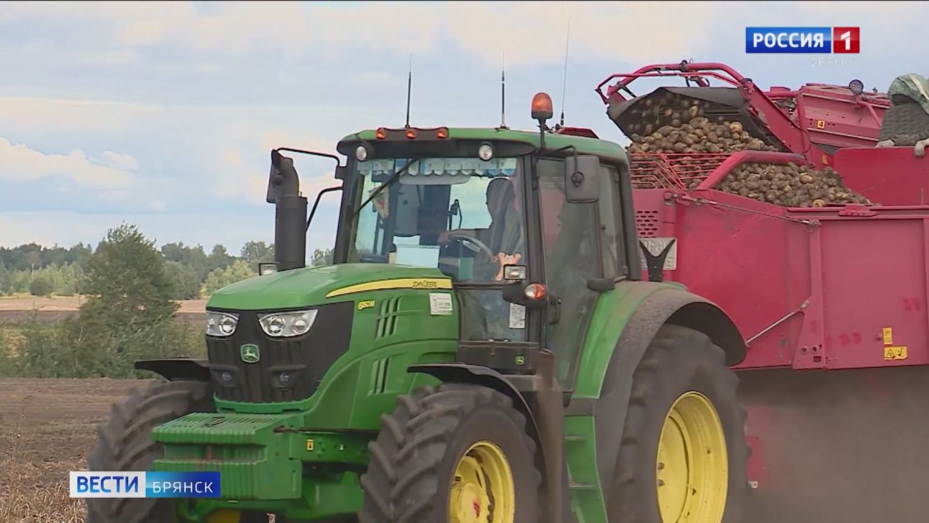 На Брянщине убрана почти четверть урожая картофеля