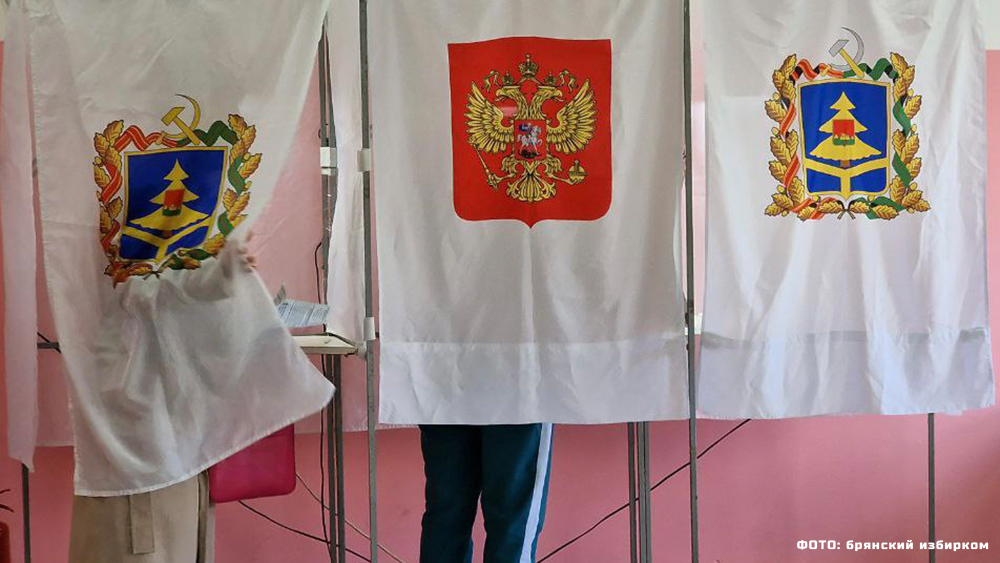 Появились предварительные итоги выборов в Брянской области