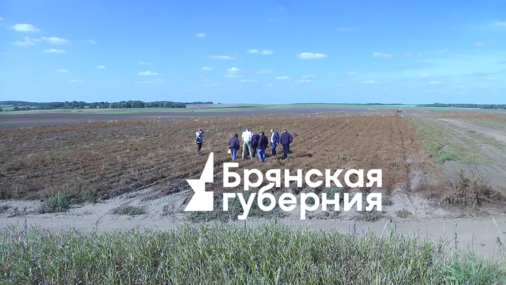 Представители власти и депутаты проверили ход уборки картофеля на полях Брянщины