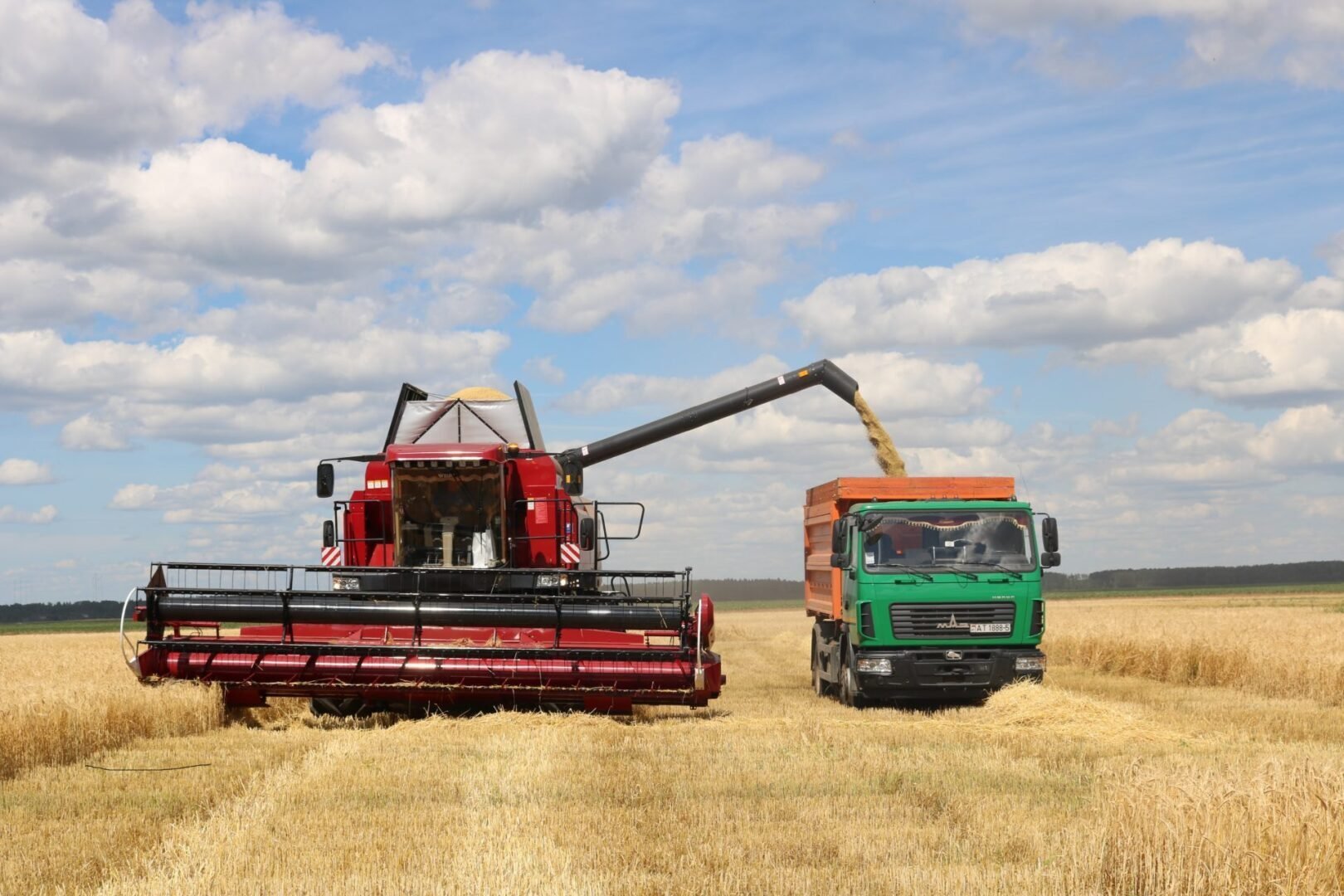 Профессиональный праздник карачевские аграрии встречают с хорошими показателями