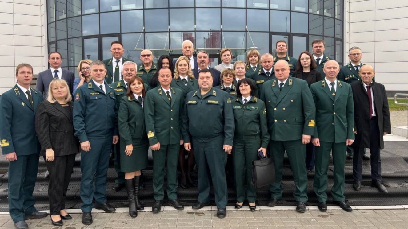 В Брянской области лесовосстановление выполнено на площади 2 900 гектаров