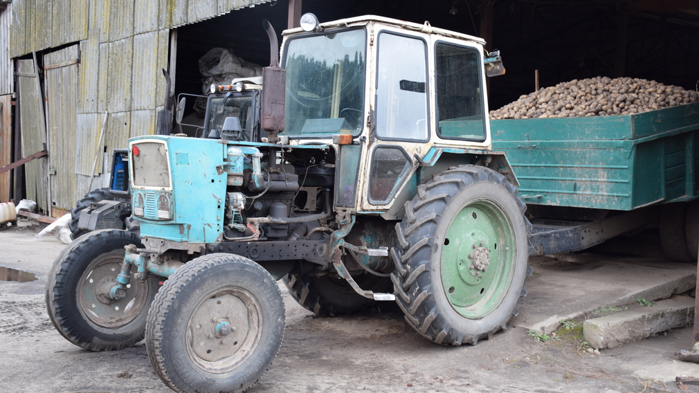 В хозяйствах Климовского района  Брянщины убирают картофель и кукурузу на зерно