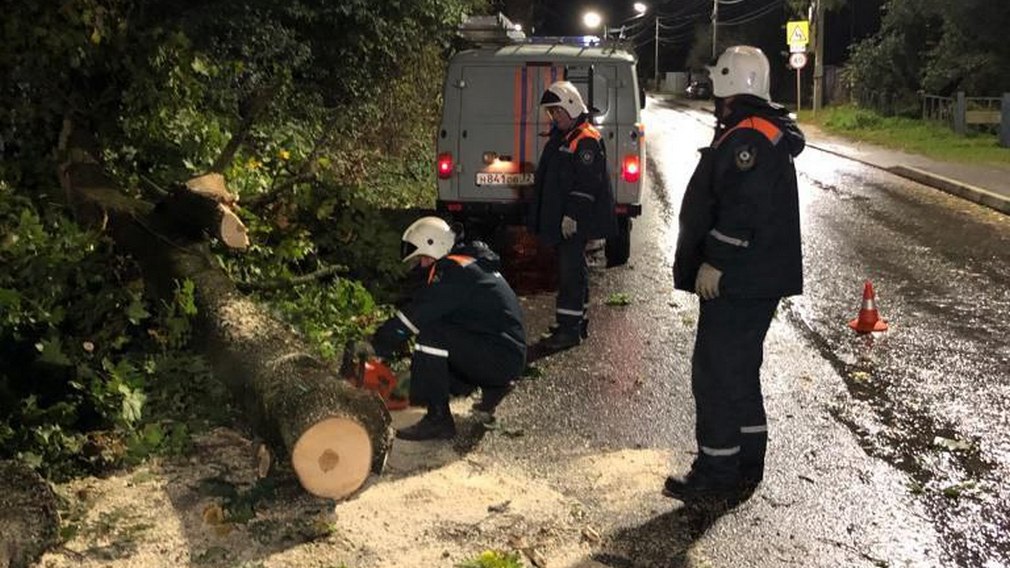 В Брянске для ликвидации последствий ураганного ветра привлекали МЧС