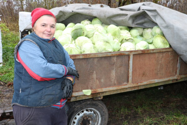 Стародубские фермеры участвуют в ярмарках выходного дня в Брянске