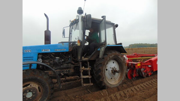 В Климовском районе завершили  сев озимых