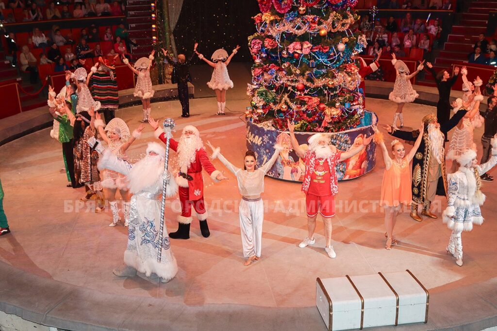 В брянском цирке для семей участников СВО провели представление  «Тропик-шоу»