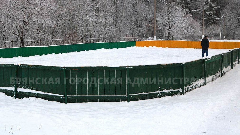 В Брянске откроются 97 зимних спортивных объектов