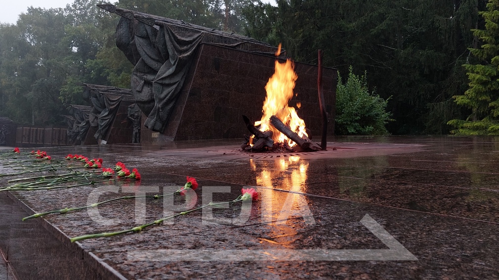 В Брянской области отмечают День Неизвестного Солдата