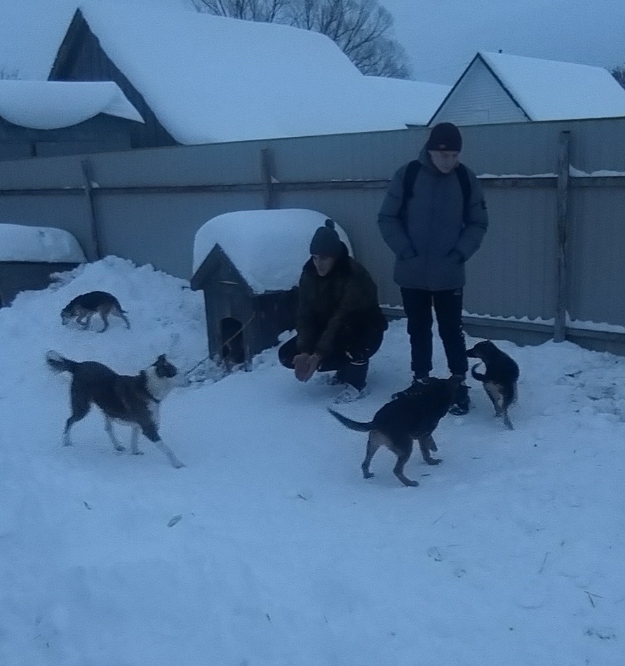 Карачевские волонтеры помогли животным