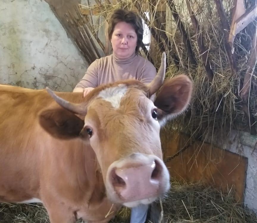 Жительница деревни Слобода  Брянской области по соцконтракту приобрела корову