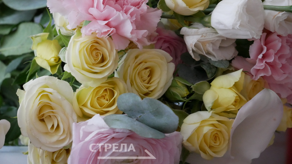 Жуковскую долгожительницу поздравили с 95-летием