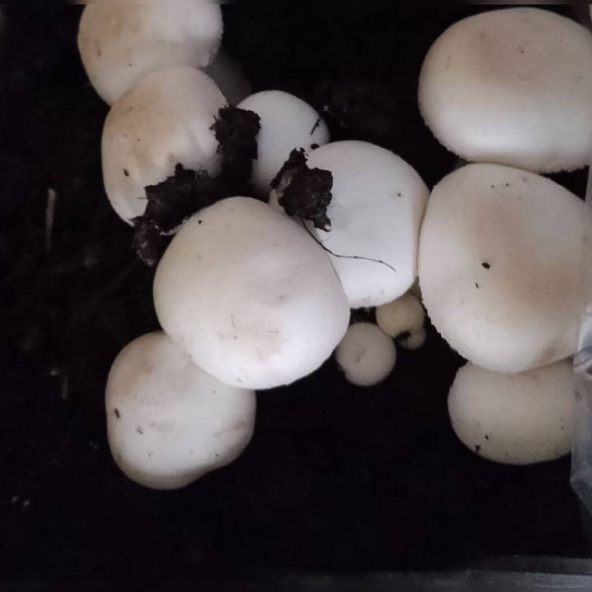 В 2023 году 25 жителей Климовского района заключили соцконтракт