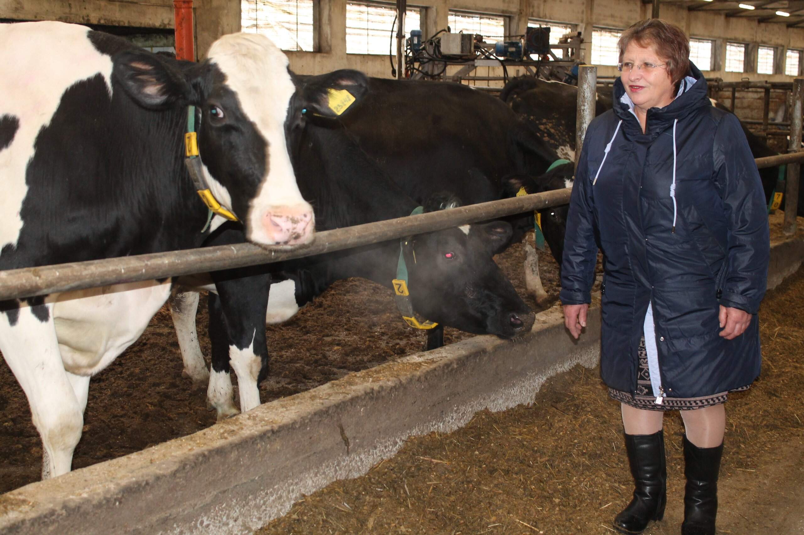  Заслуженный работник сельского хозяйства Брянской области Л.А.Данилова: «Мои барышни — красавицы…»