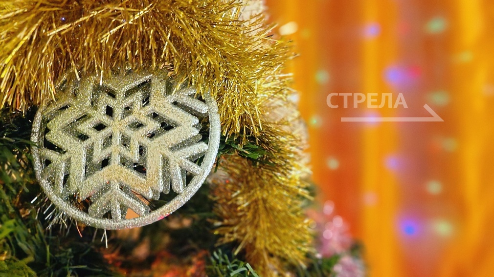 В Красногорском районе Брянщины  открылась выставка старинных игрушек