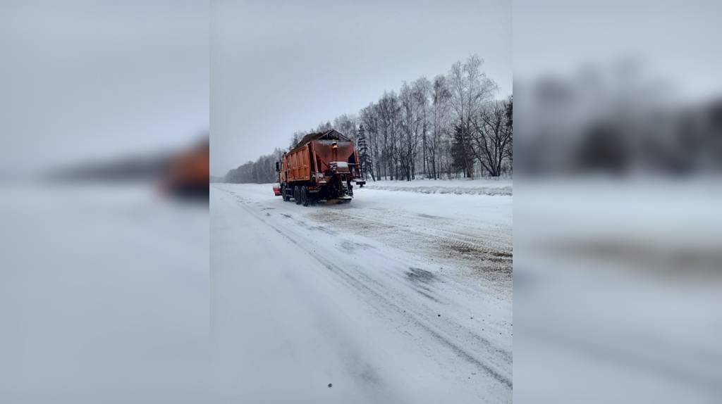 За прошедшие сутки на дороги Брянщины высыпали более 3000 тонн пескосоли