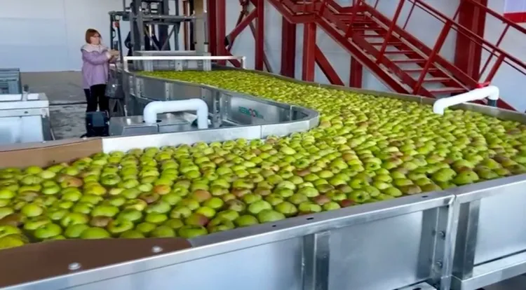 В Брянске будет запущено крупнейшее плодохранилище в конце апреля