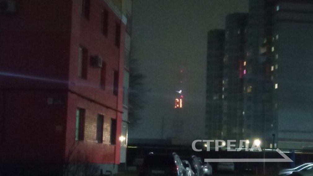 Брянщина памятную акцию «Журавли» поддержала