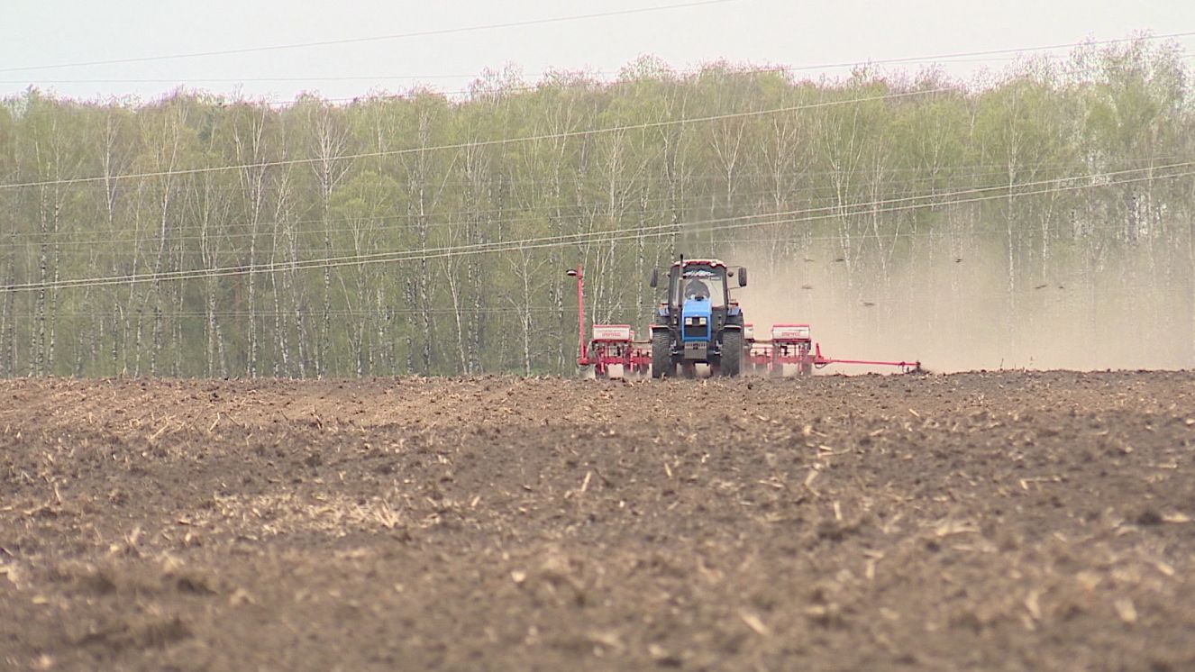 В Брянской области на особом контроле ход начала весенне-полевых работ