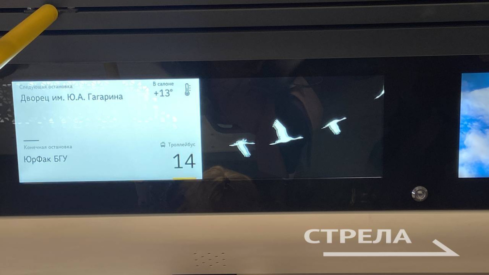 В брянских троллейбусах появилась инсталляция «Журавли»