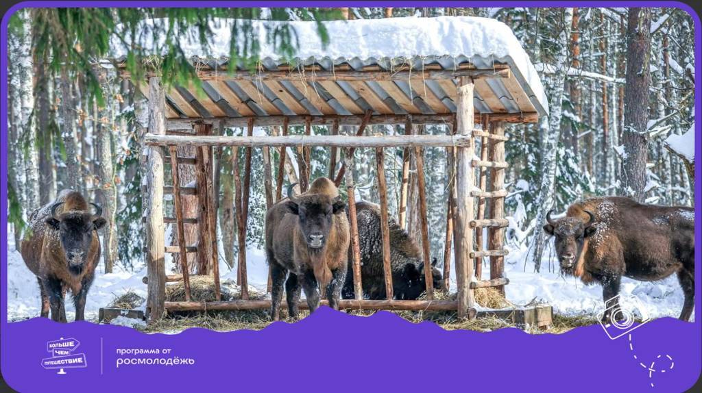 Заповедник «Брянский лес» стал финалистом всероссийского конкурса