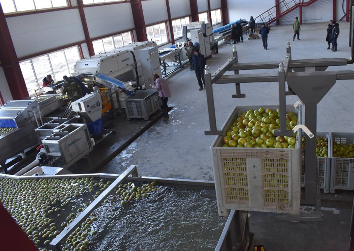 «Брянский сад» запустил в работу новый автоматизированный комплекс