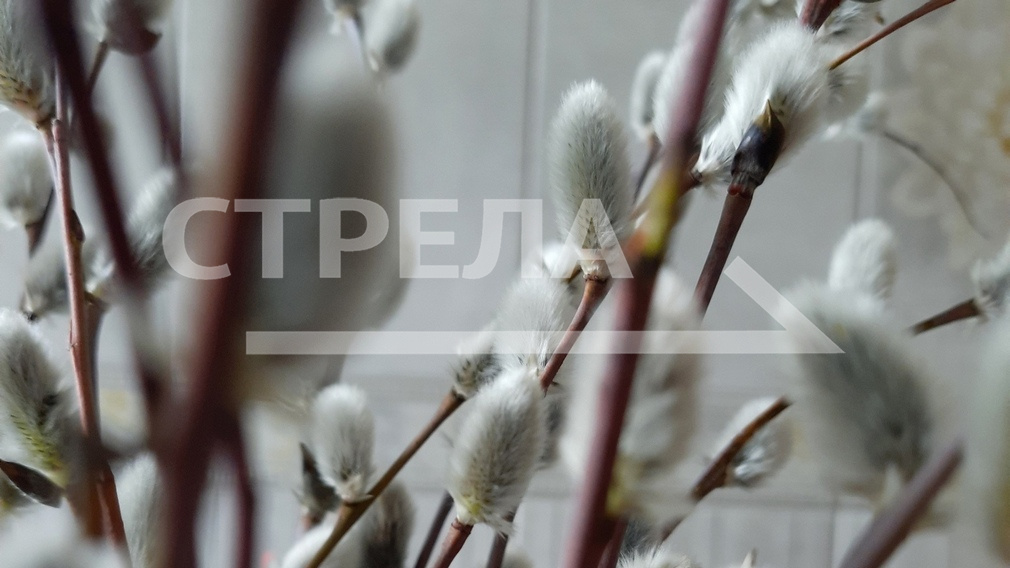 Жители Брянской области отмечают Прощеное воскресенье