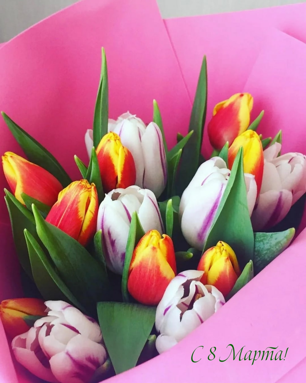 Дорогие и милые женщины!